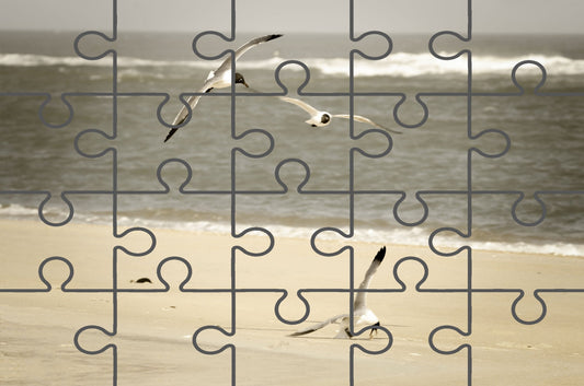 Jigsaw puzzle Outline Life at the Shore Coastal Wildlife Photograph