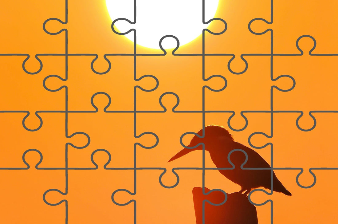 Kingfisher Bird Silhouette on Perch At Sunset Minimalistic Photograph Free Online Jigsaw Puzzle