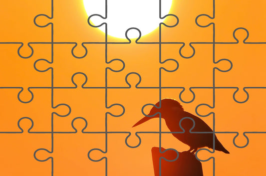 Kingfisher Bird Silhouette on Perch At Sunset Minimalistic Photograph Free Online Jigsaw Puzzle