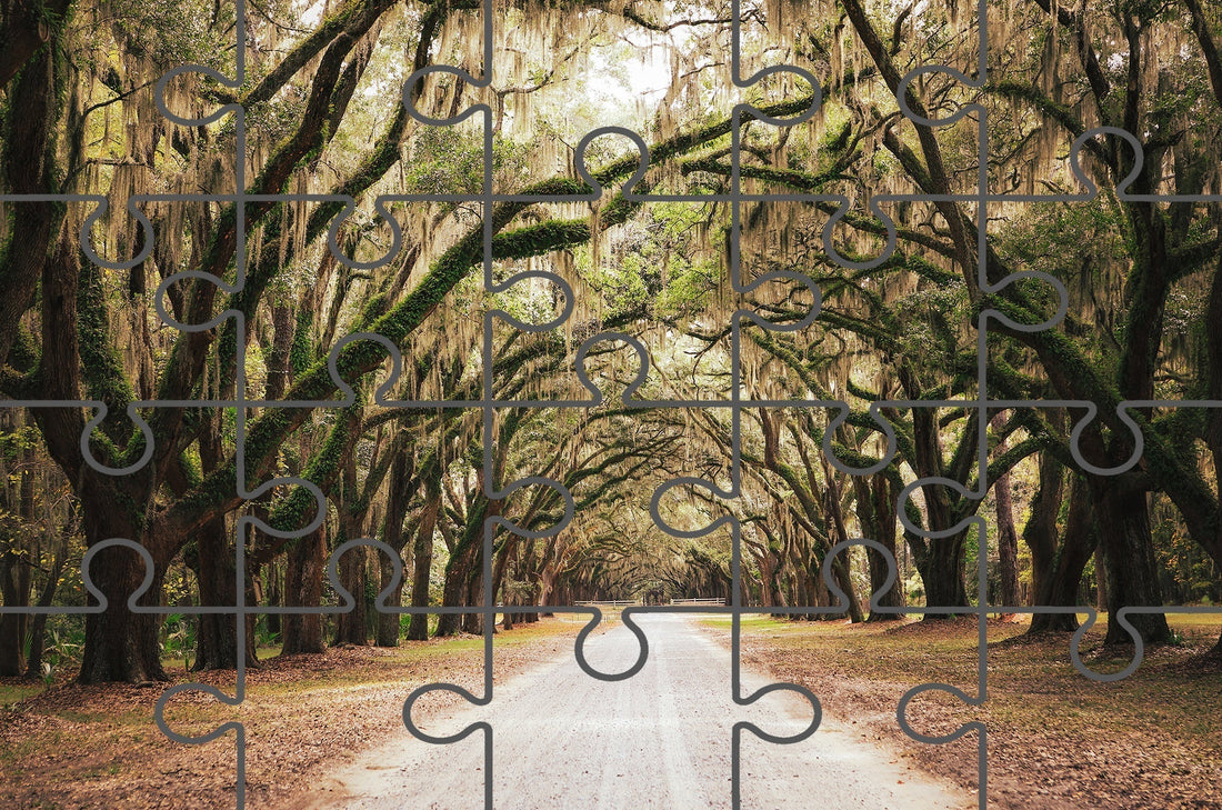 Live Oaks and Spanish Moss Road Way Savannah Ga Landscape Photograph Free Online Jigsaw Puzzle