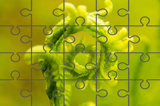 Free Nature's Perfection Jigsaw Puzzle