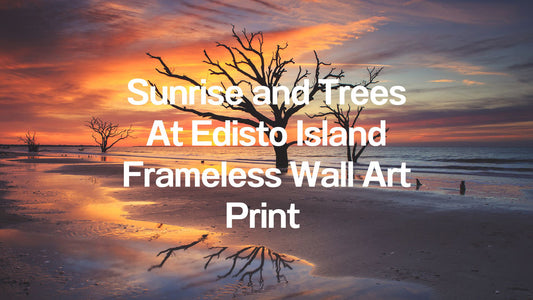 Peaceful Landscape Wall Art: Sunrise and Trees At Edisto Island Coastal