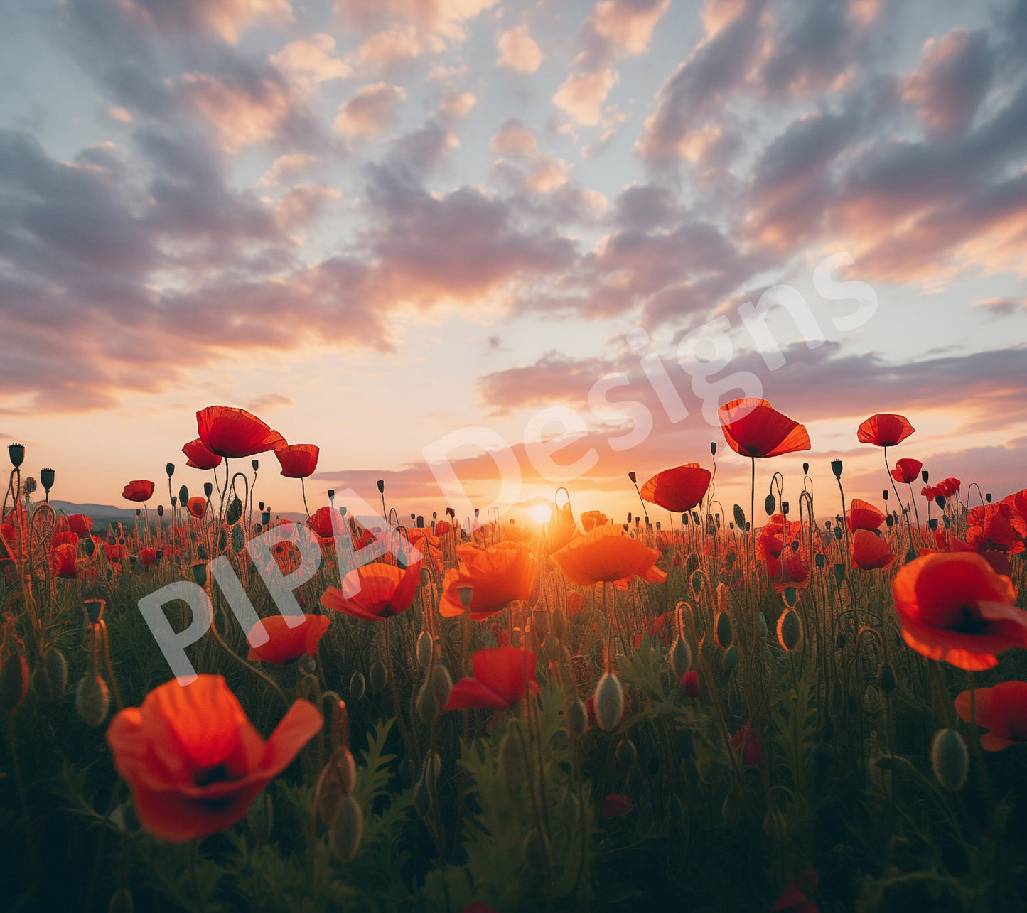Downloadable Art: A Field of Memories Poppy Photorealistic Digital Floral Artwork
