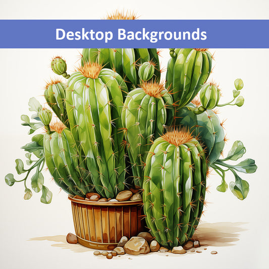 A Collection of Cacti Cactus Illustration Pencil Drawing Wallpaper for Computer