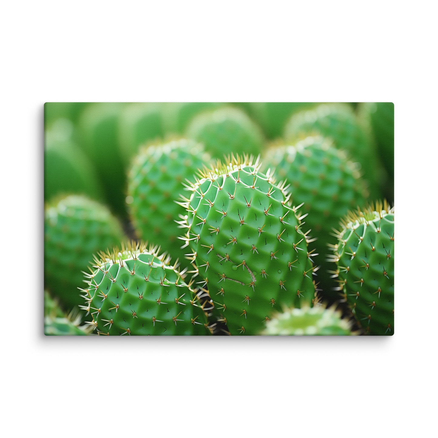 A Collection of Cacti Photorealistic Digital Artwork Extra Large Canvas Wall Art Print