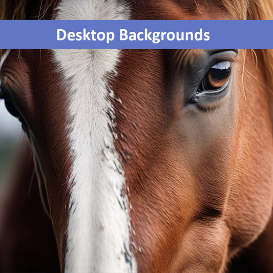 A Gentle Giant's Eye Photorealistic Horse Art Wallpaper for Computer