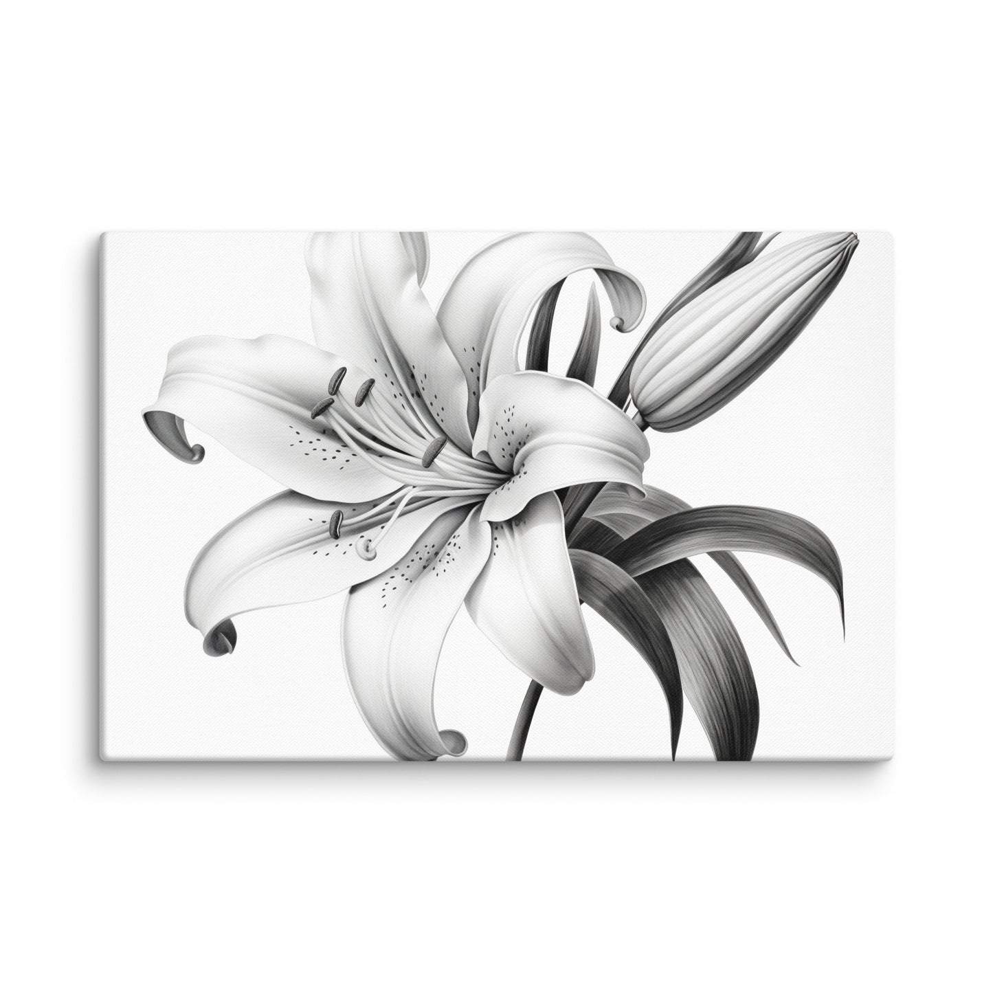 A Moment of Bloom Lily Floral Digital Artwork Pencil Sketch  Charcoal Drawing Canvas Wall Art Print