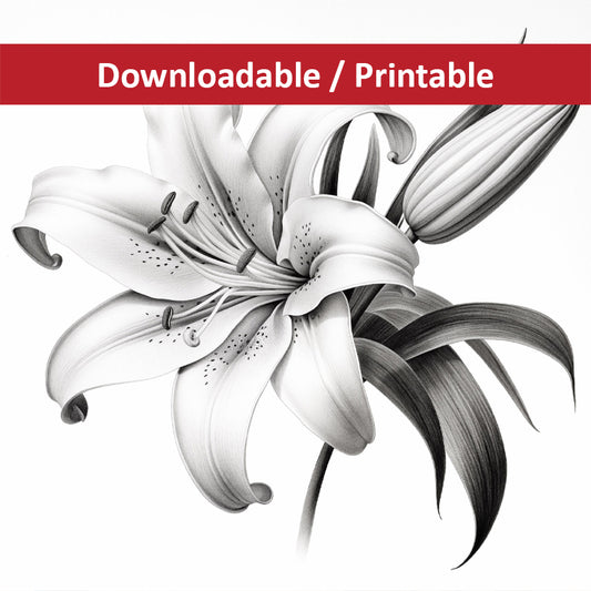 A Moment of Bloom Lily Pencil Sketch Charcoal Drawing DIY Downloadable and Printable Wall Art Prints
