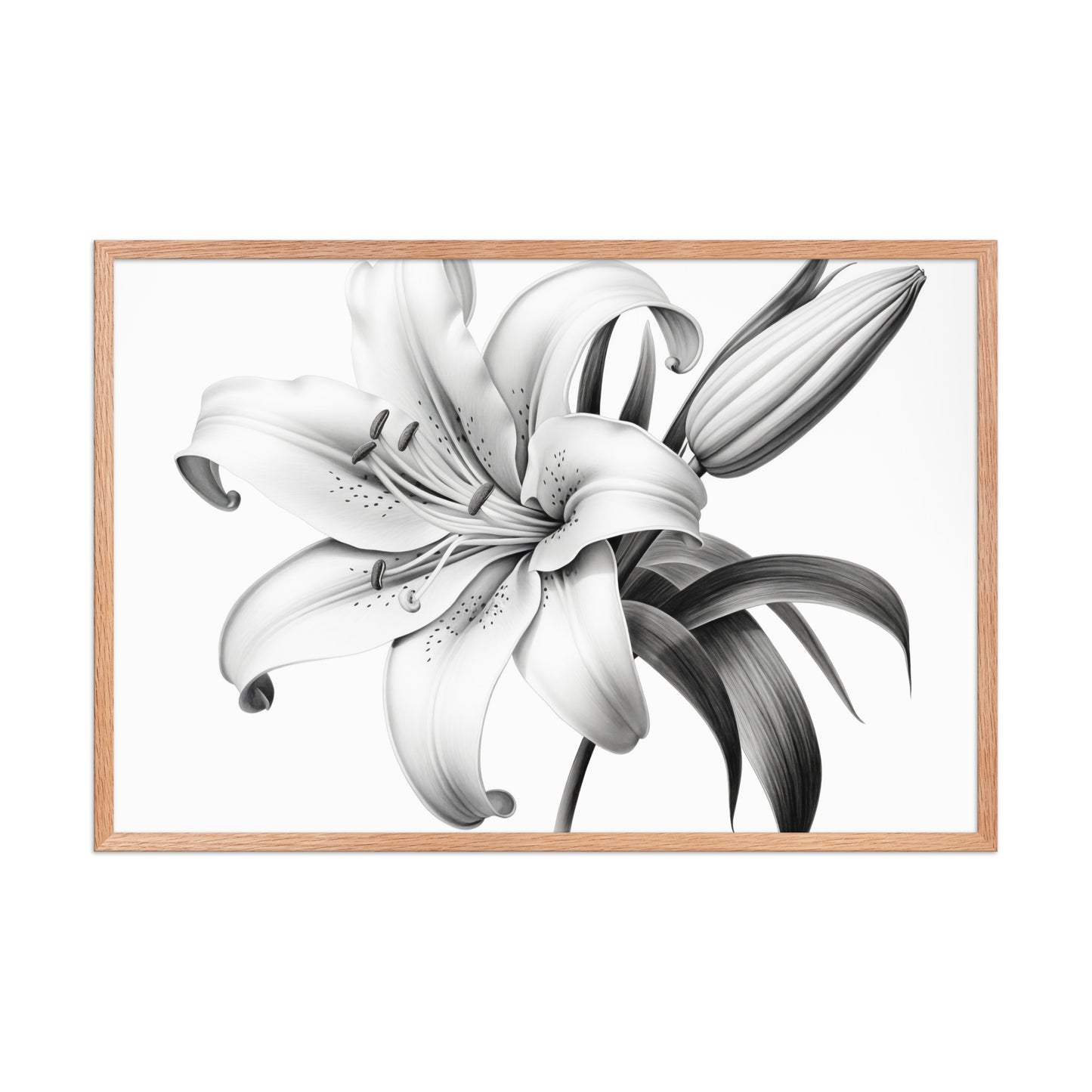 A Moment of Bloom Lily Pencil Sketch Charcoal Drawing Framed 24 x 36 Natural Wood Frame
