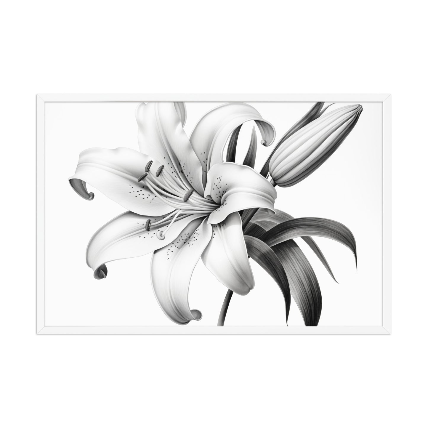 A Moment of Bloom Lily Pencil Sketch Charcoal Drawing Framed 24 x 36 White Frame