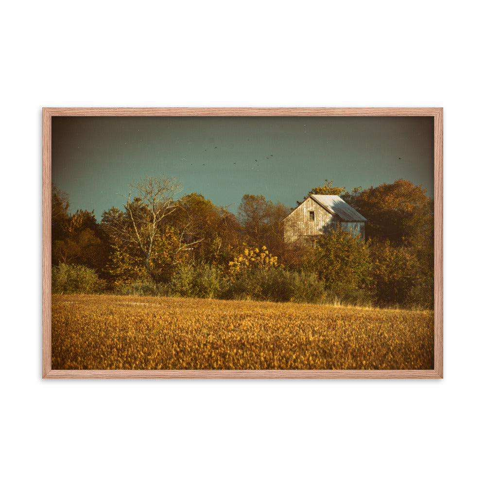 Farmhouse Framed Wall Decor: Abandoned Barn In The Trees Abstract Colorized Rustic / Rural Landscape Photo Paper Prints - Artwork - Wall Decor