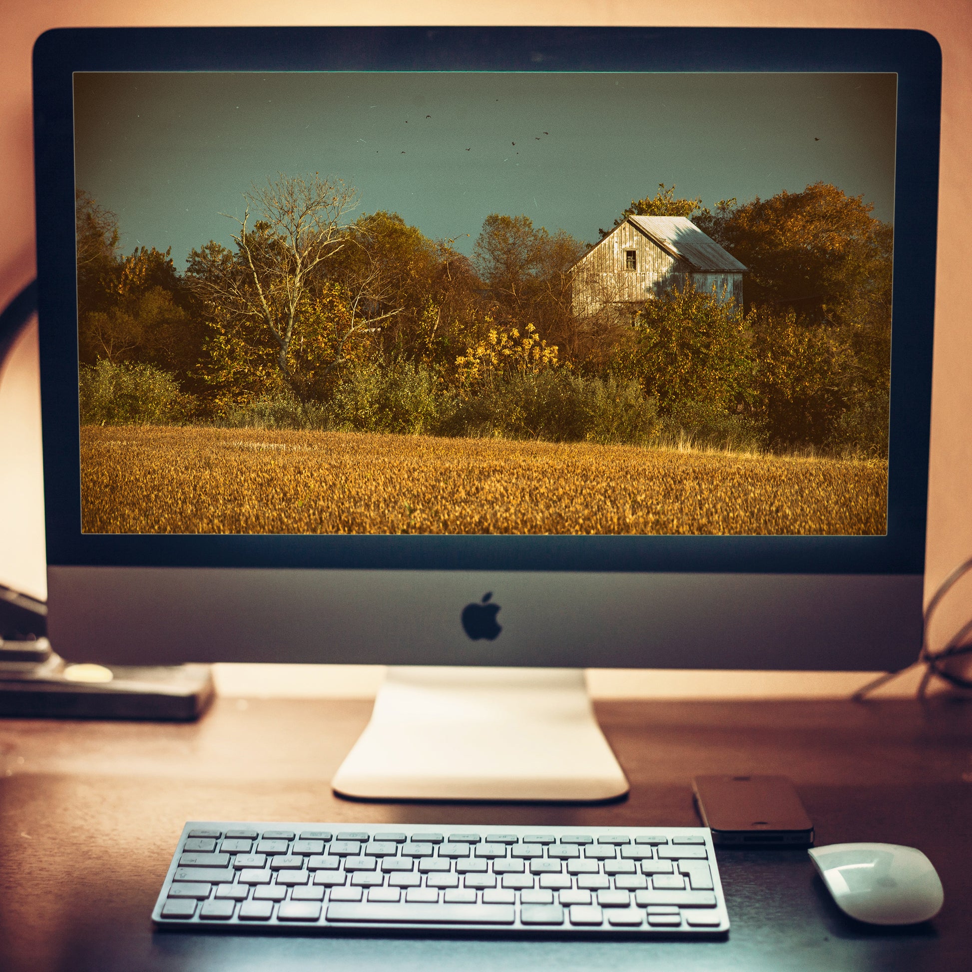 Abandoned Barn In The Trees -Aged Colorized Rustic Landscape Photograph Wallpaper for Computer 2