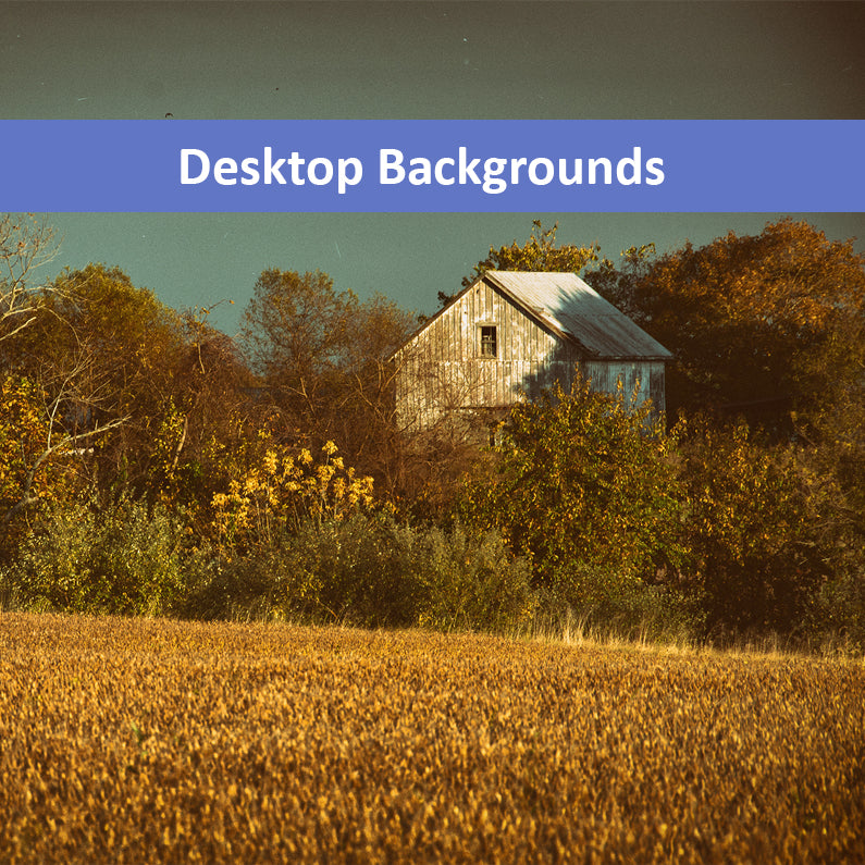 Abandoned Barn In The Trees -Aged Colorized Wallpaper for Computer