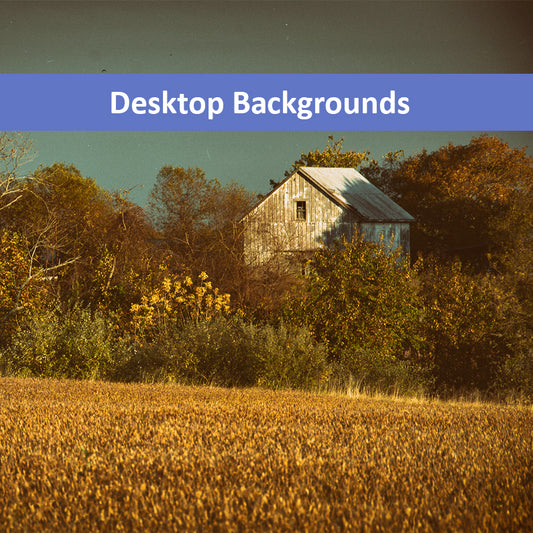 Abandoned Barn In The Trees -Aged Colorized Wallpaper for Computer