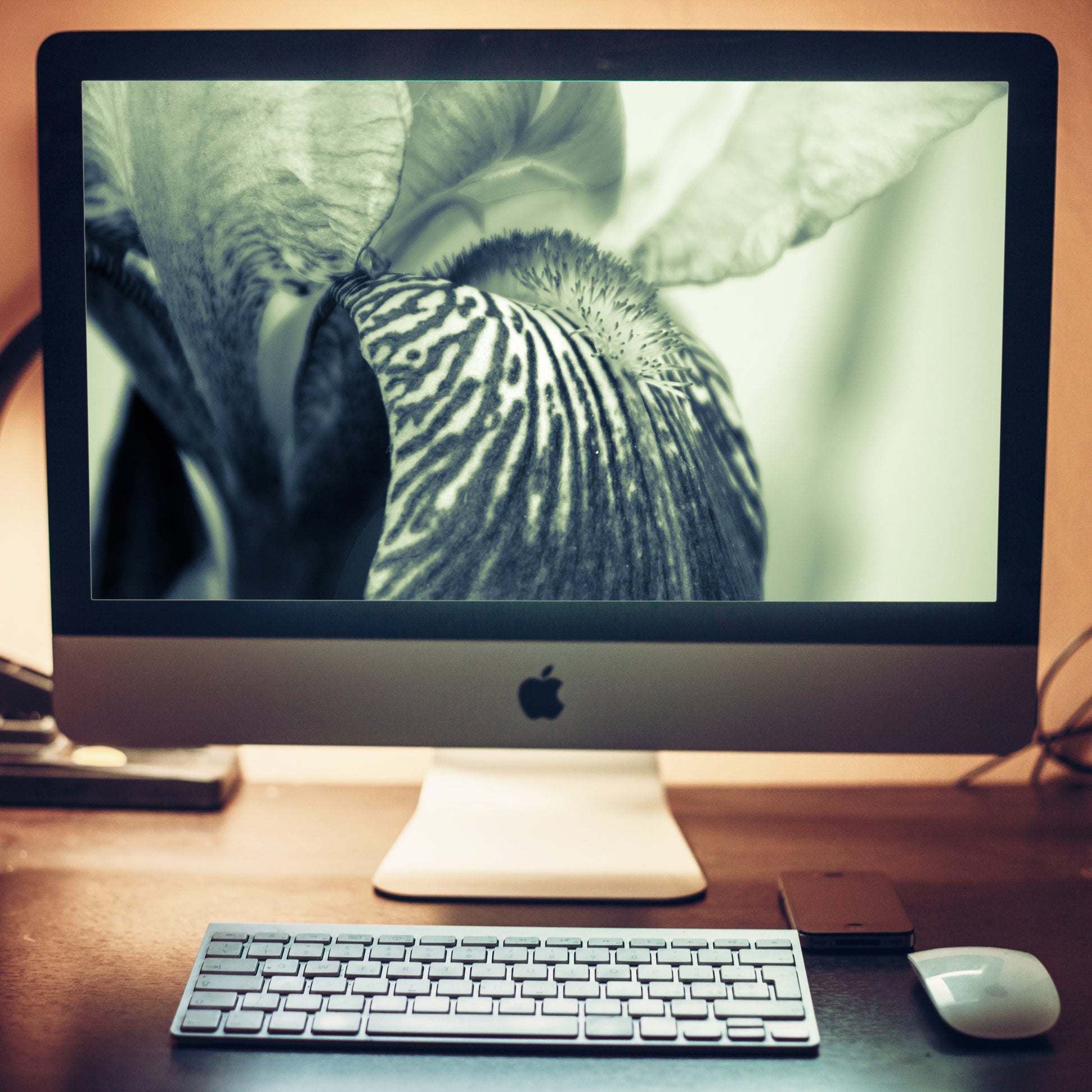 Abstract Japanese Iris Delight Nature Photo Wallpaper for Computer