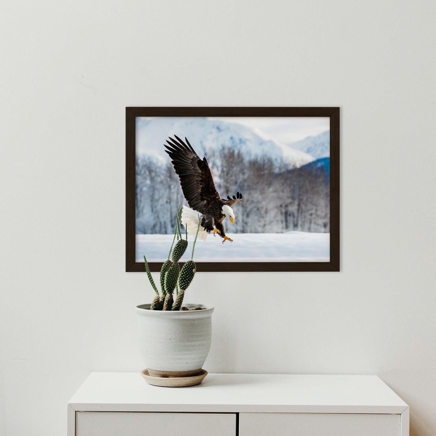 entryway art, Adult Bald Eagle and Alaskan Winter Animal Wildlife Photograph Framed Wall Art Print