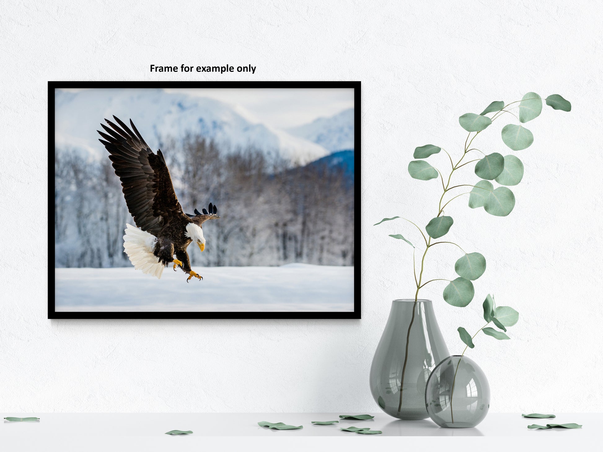 wildlife wall pictures, Adult Bald Eagle and Alaskan Winter Landscape Animal artwork print
