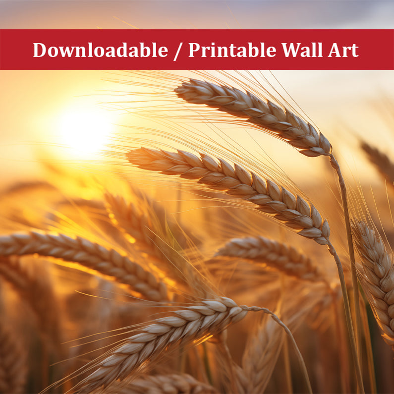 Amber Waves Minimal Botanical Rustic Subdued Wheat Crops Photorealism Painting - Digital Artwork DIY Wall Decor Instant Download Print - Printable