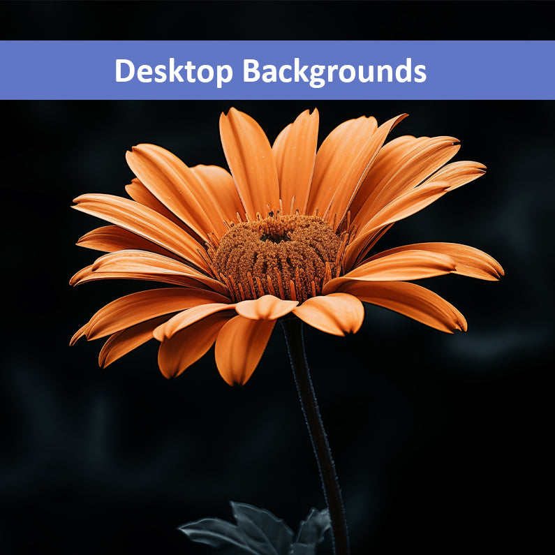 Amber Embrace  Realism Painting Orange Color Floral Photorealistic Digital Artwork Wallpaper for Computer