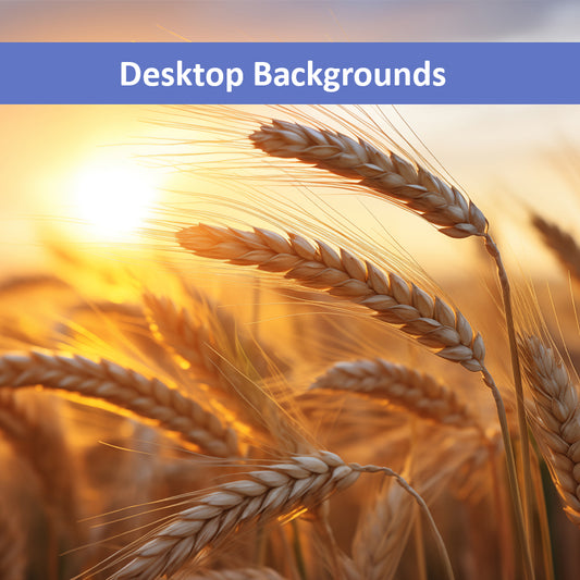 Amber Waves Minimal Botanical  Rustic Subdued Wheat Crops Photorealistic Digital Artwork Wallpaper for Computer