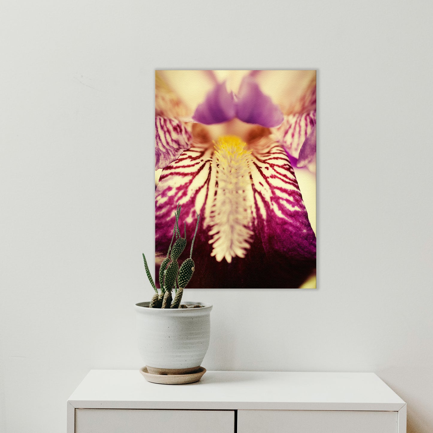 Big Living Room Canvas: Antiqued Iris - Botanical / Floral / Flora / Flowers / Nature Photograph Canvas Wall Art Print - Artwork