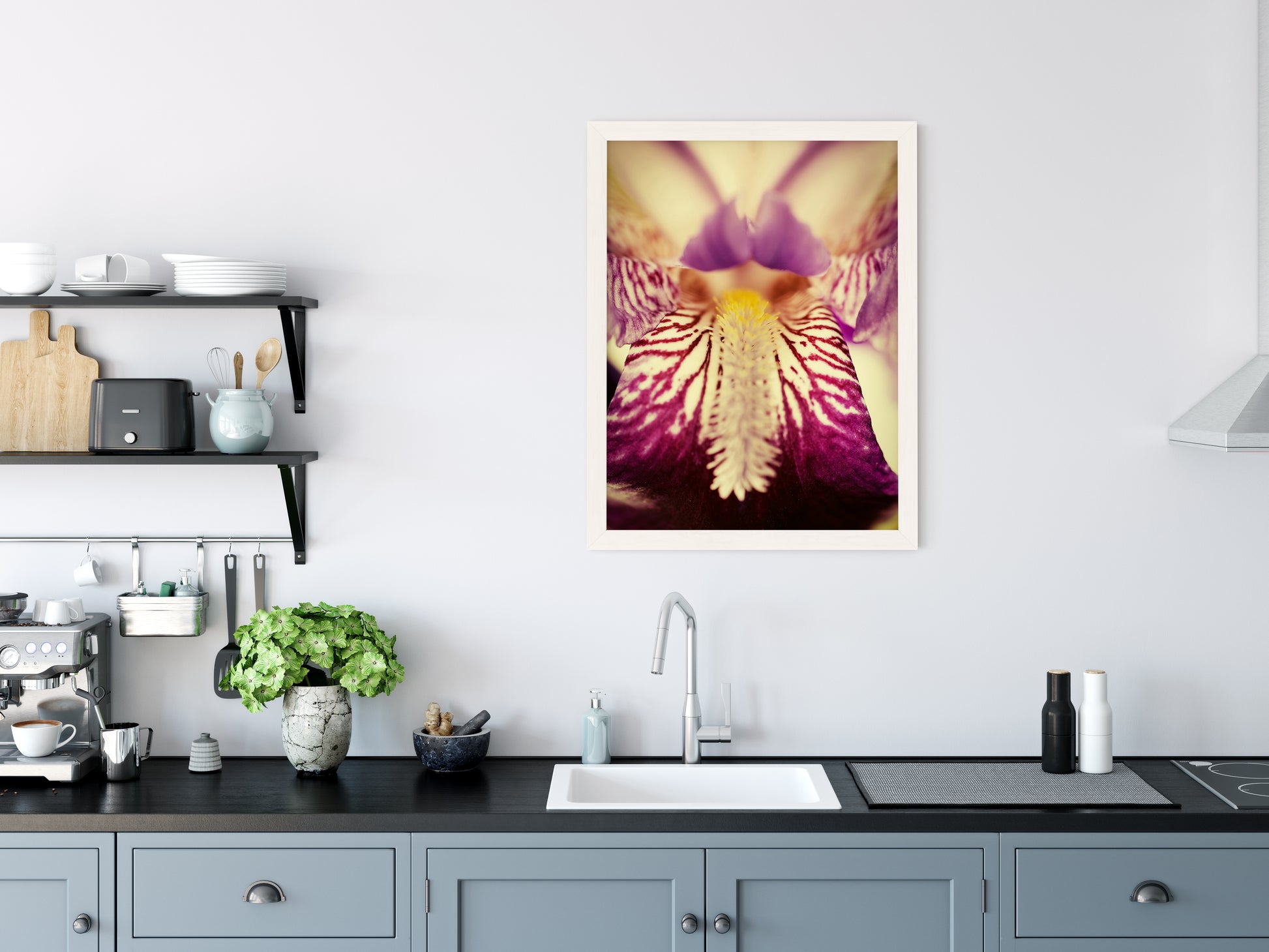 Modern Kitchen Framed Art: Antiqued Iris Floral / Flora / Botanical / Nature Photo Framed Wall Art Print - Artwork - Modern Wall Decor