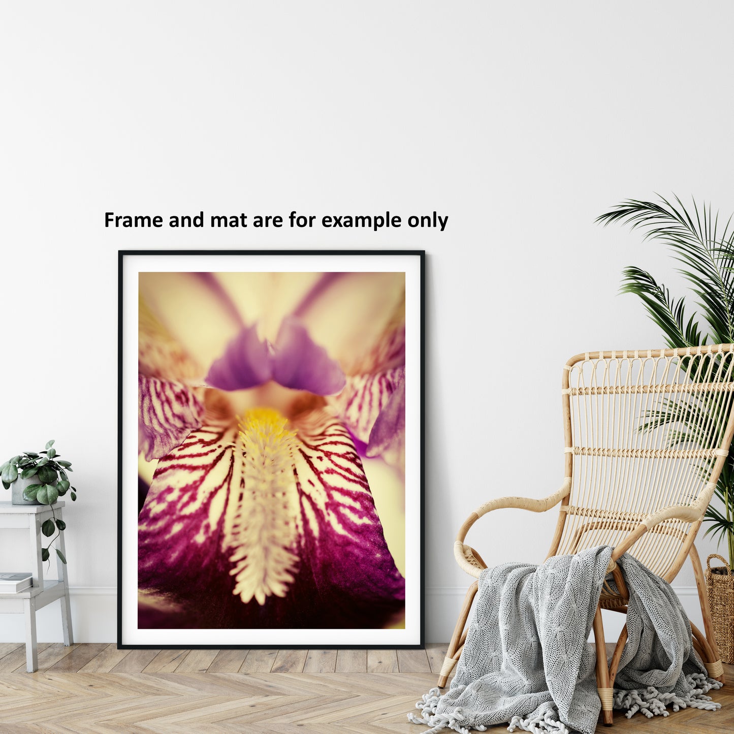 Floral Print Wall: Antiqued Iris - Botanical / Floral / Flora / Flowers / Nature Photograph Loose / Unframed / Frameless / Frameable Wall Art Print - Artwork