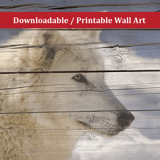 Aries the White Wolf Portrait Wildlife Photo DIY Wall Decor Instant Download Print - Printable