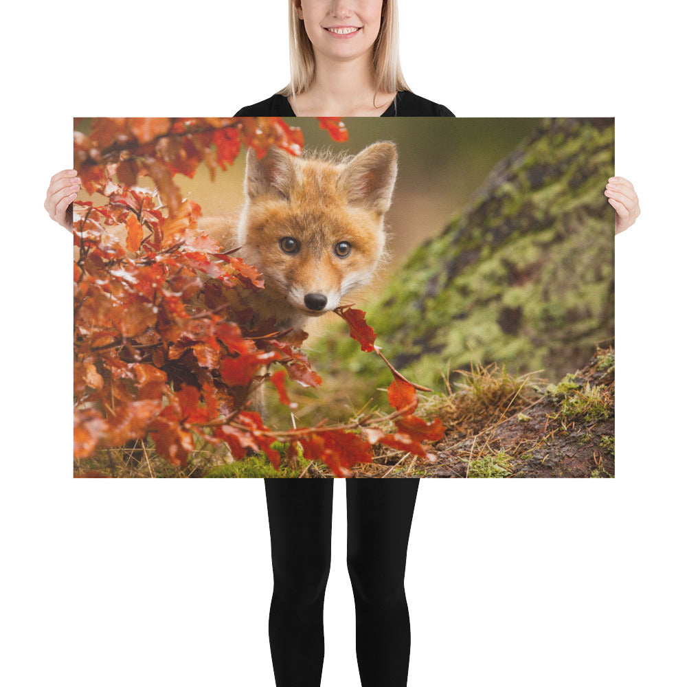 Nursery Canvas Art: Peek-A-Boo Baby Fox Pup And Fall Leaves - Animal / Wildlife / Nature Photograph Canvas Artwork - Wall Decor