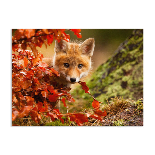 Animal Canvas For Nursery: Peek-A-Boo Baby Fox Pup And Fall Leaves - Animal / Wildlife / Nature Photograph Canvas Artwork - Wall Decor