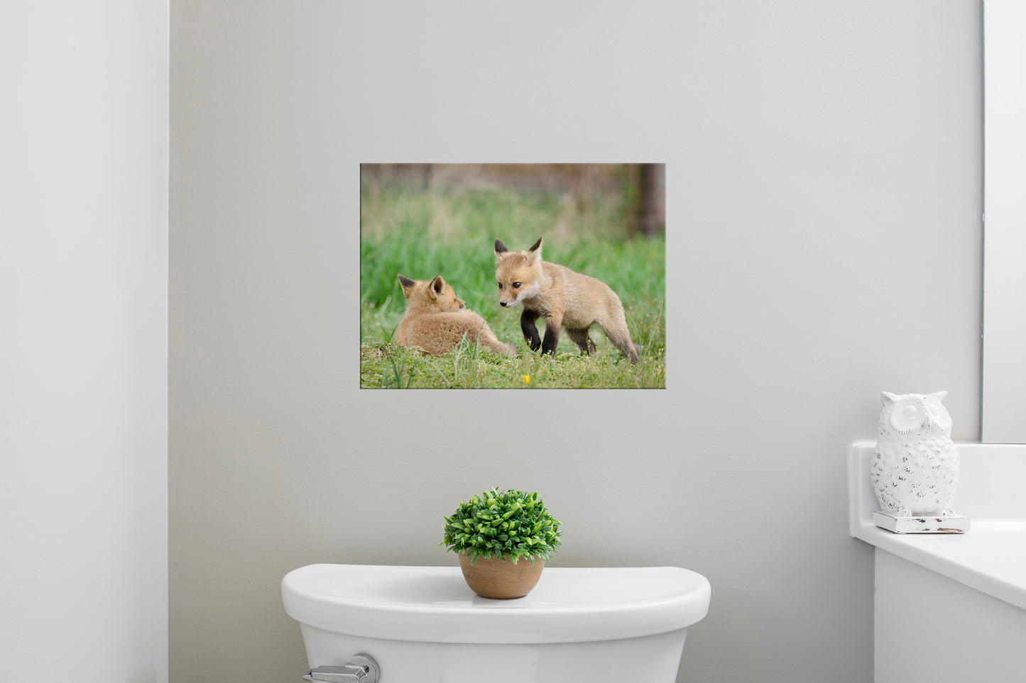 Baby Red Fox Coming to Get You Wildlife Photo DIY Wall Decor Instant Download Print - Printable