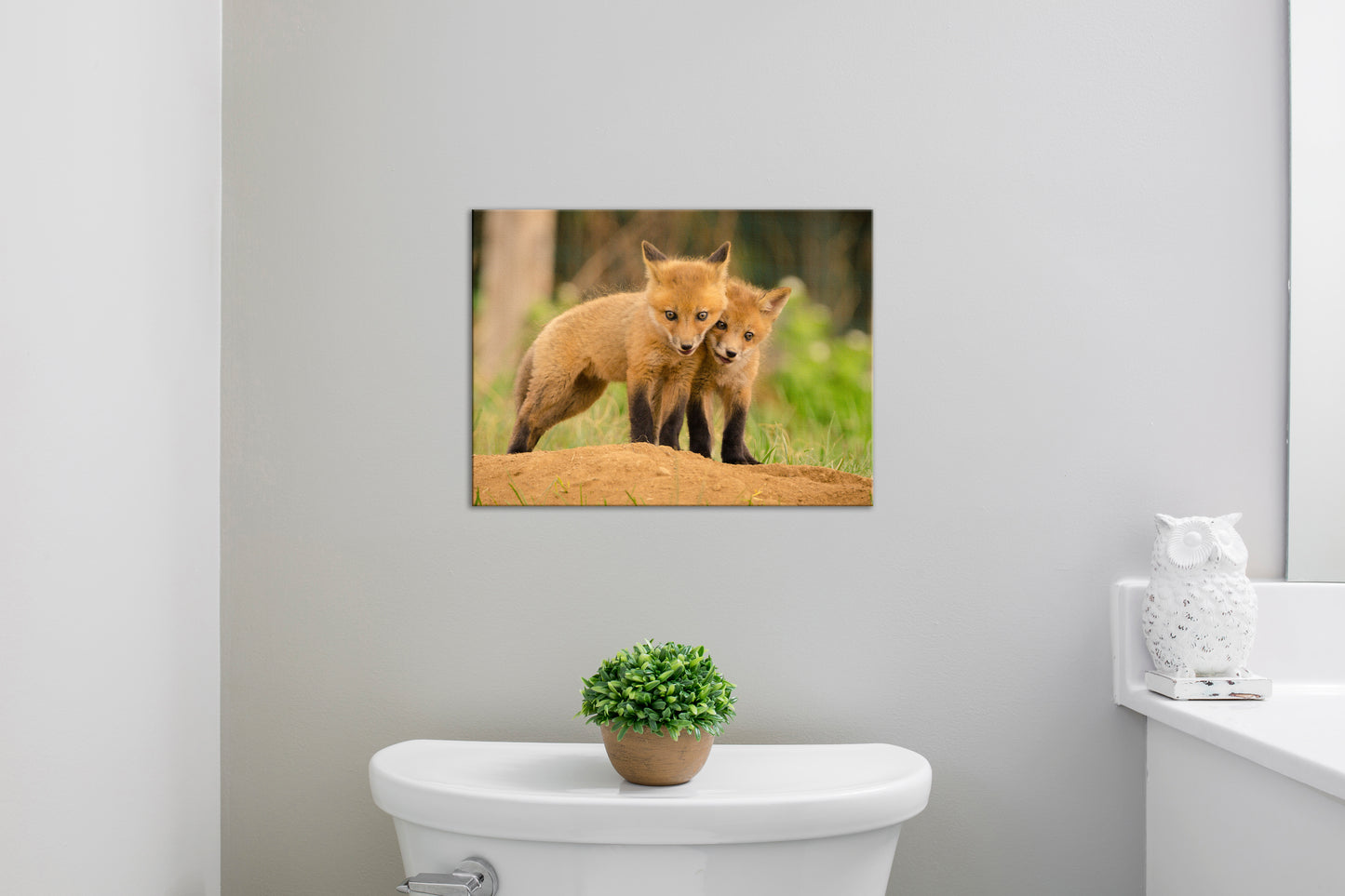 Baby Red Fox Close to You Wildlife Photo DIY Wall Decor Instant Download Print - Printable