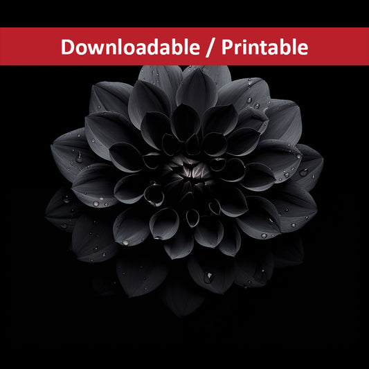 Black Beauty Black Flowers Photorealistic Digital Floral Artwork DIY Downloadable and Printable Wall Art Prints