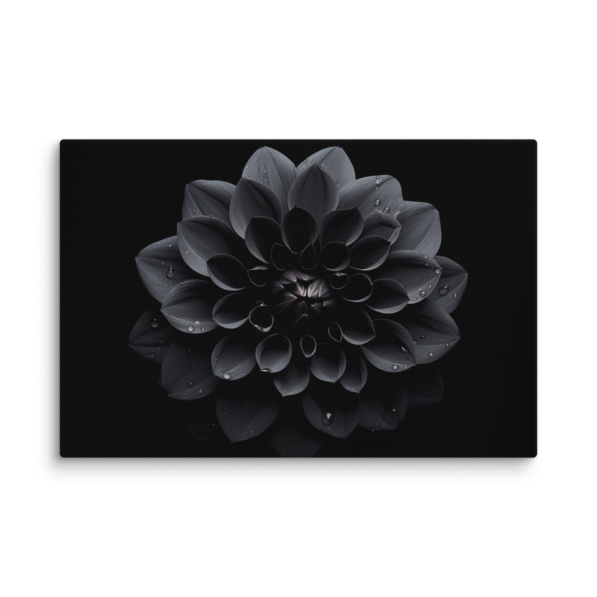 Black Beauty Black Flowers Photorealistic Digital Floral Artwork Extra Large Canvas Wall Art Print