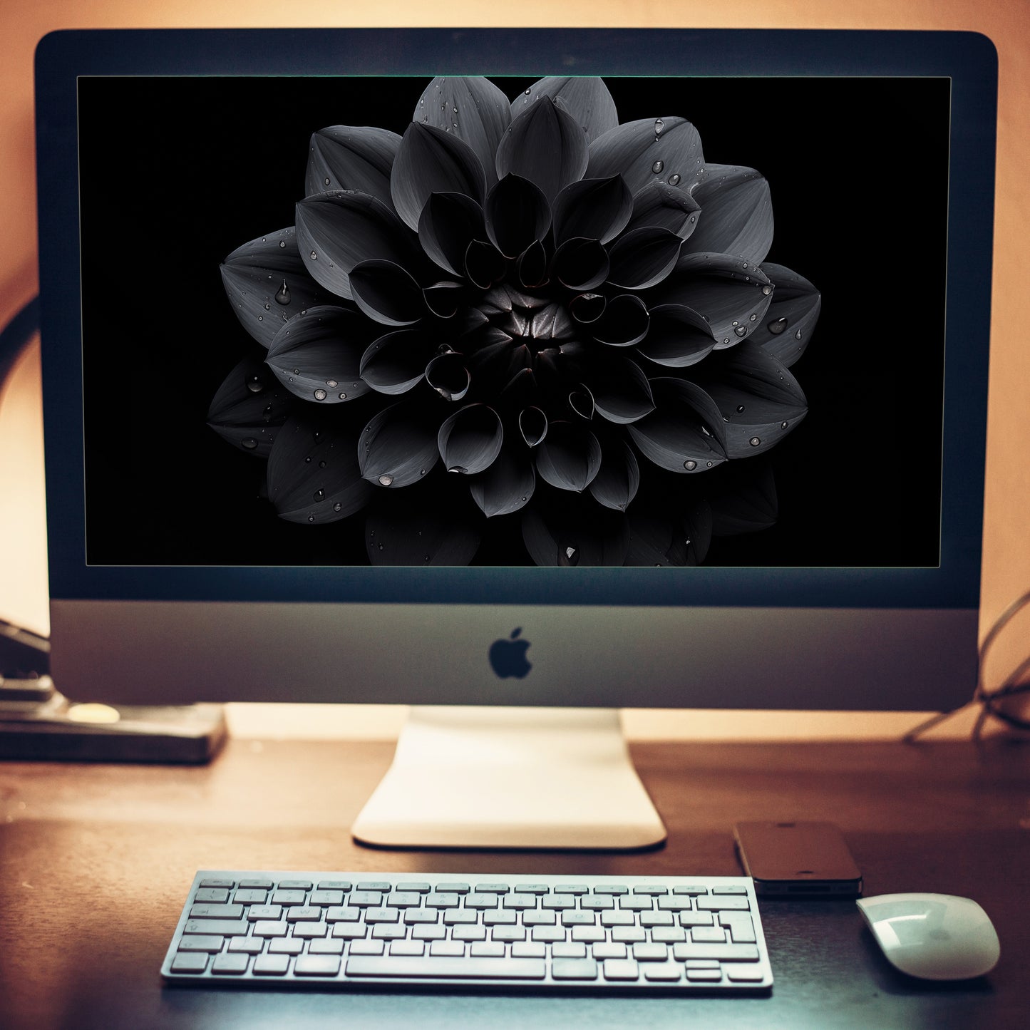 Black Beauty Black Flowers Photorealistic Digital Floral Artwork Wallpaper for Computer 2