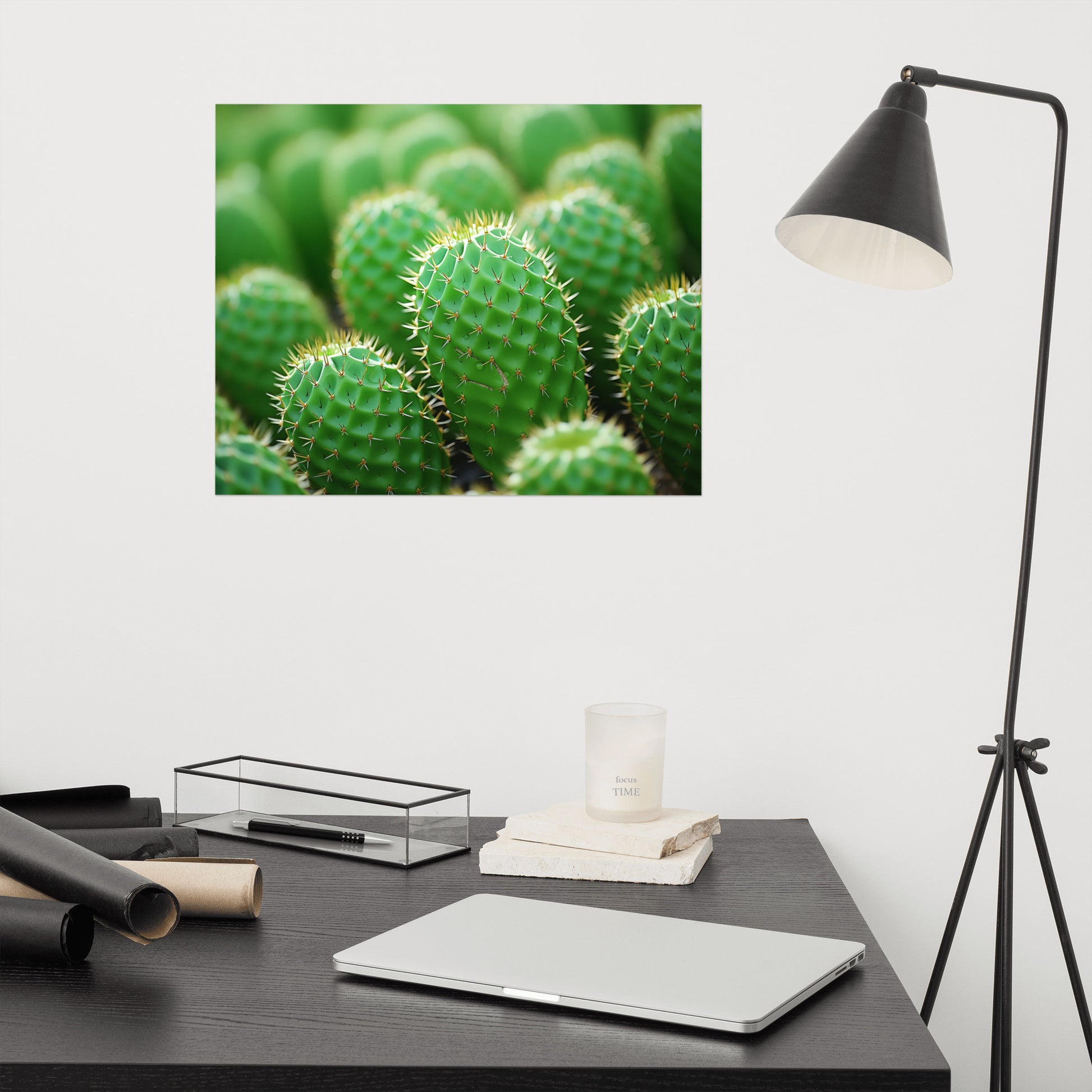 Botanical Art: A Collection of Cacti Photorealism Frameless Art Print