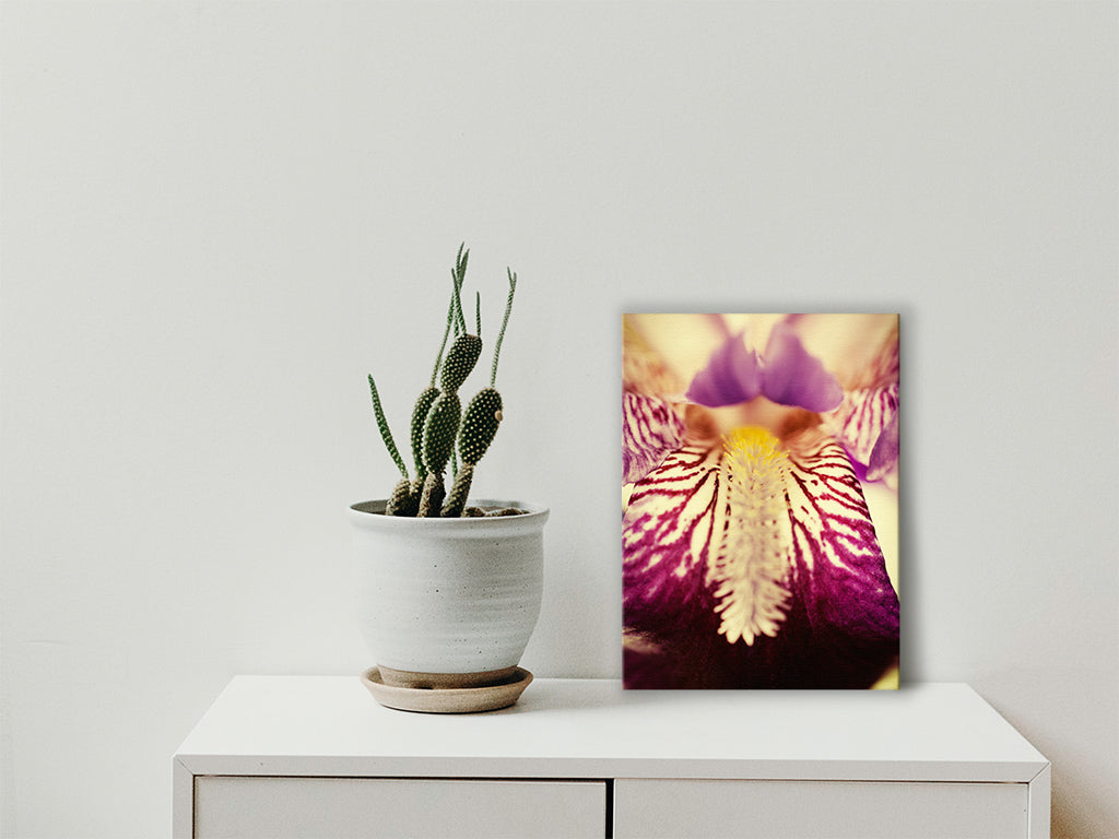 Floral Wall Decor: Nature Photography Wall Art Print for Sale Online