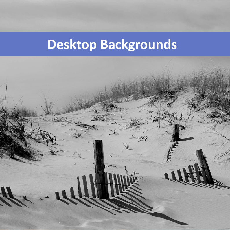 Buried Fences Coastal Landscape Photograph Wallpaper for Computer Monitors TVS and Laptop Screens