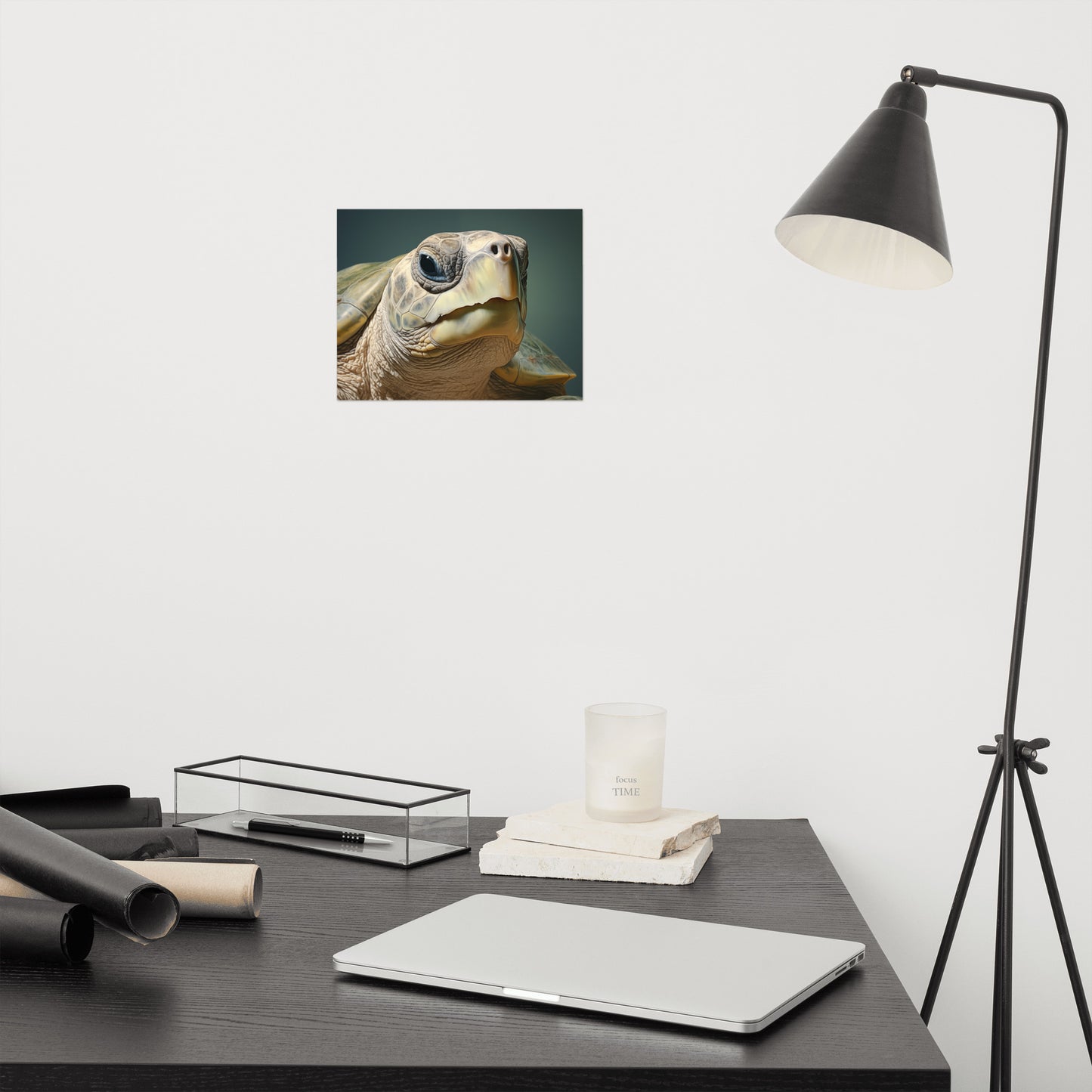 Business Office Artwork: Albino Enchantment Kemps Ridley Sea Turtle Coastal Photorealism Painting - Digital Artwork Loose Art Print