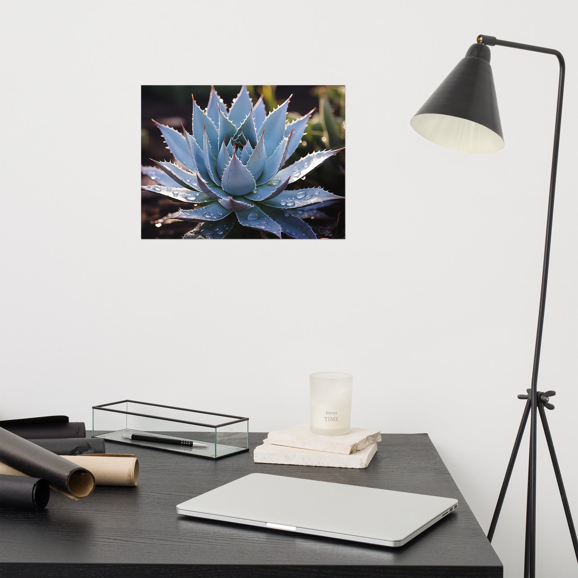 Cactus Artwork: A Moment of Peace Botanical Rustic Photorealism - Digital Artwork Loose Art Print