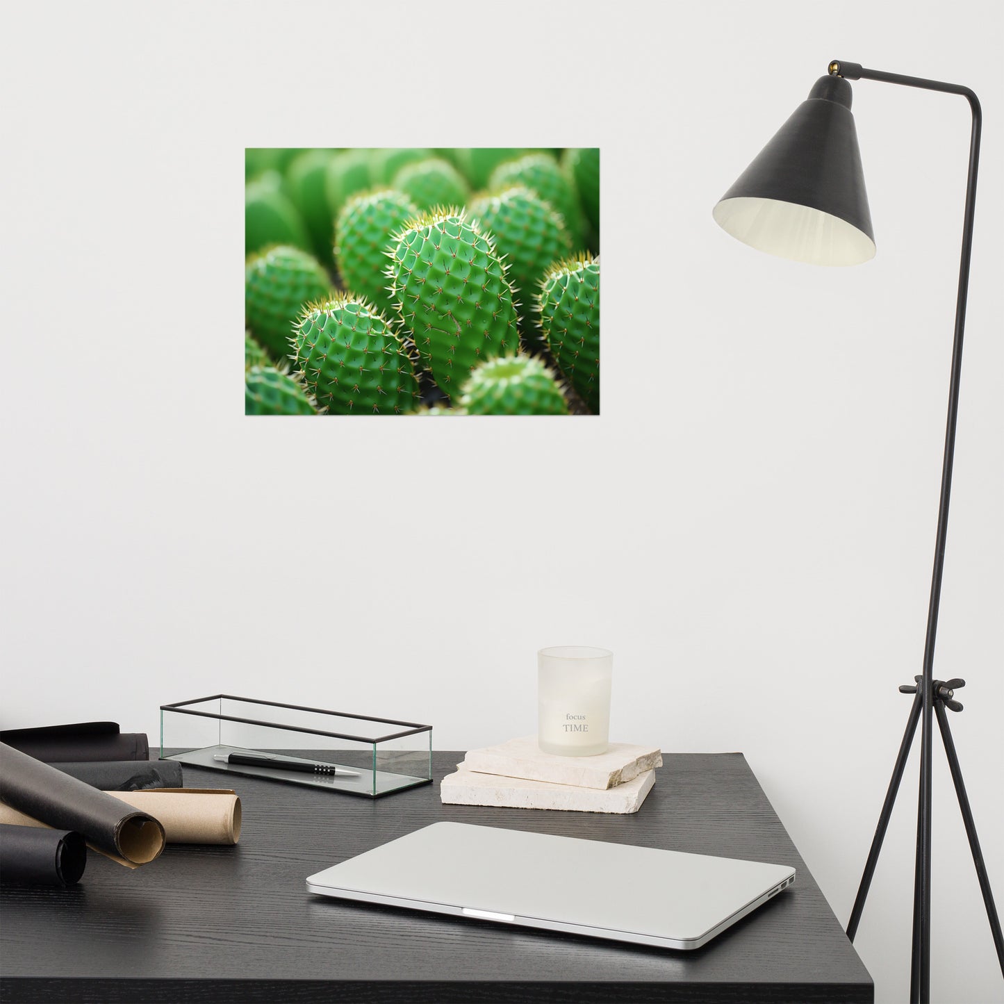 Cactus Print: A Collection of Cacti Photorealism Frameless Art Print