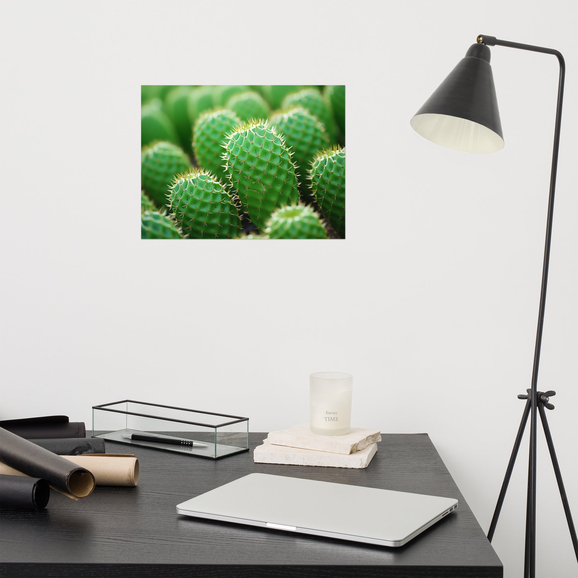 Cactus Print: A Collection of Cacti Photorealism Frameless Art Print