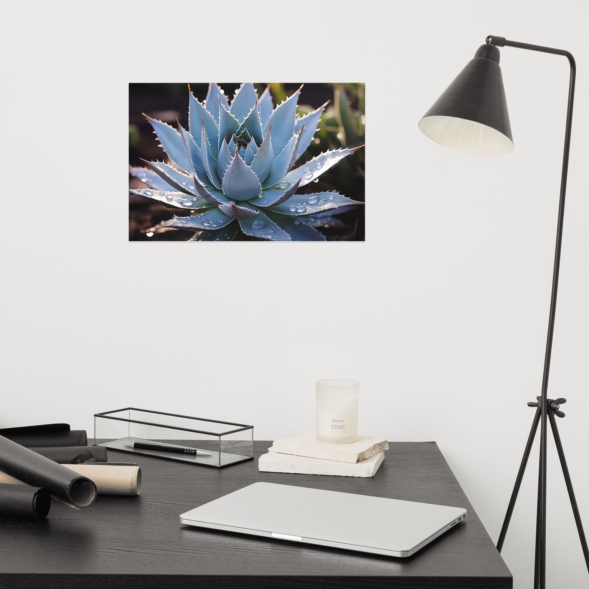 Cactus Wall Decor: A Moment of Peace Botanical Rustic Photorealism - Digital Artwork Loose Art Print