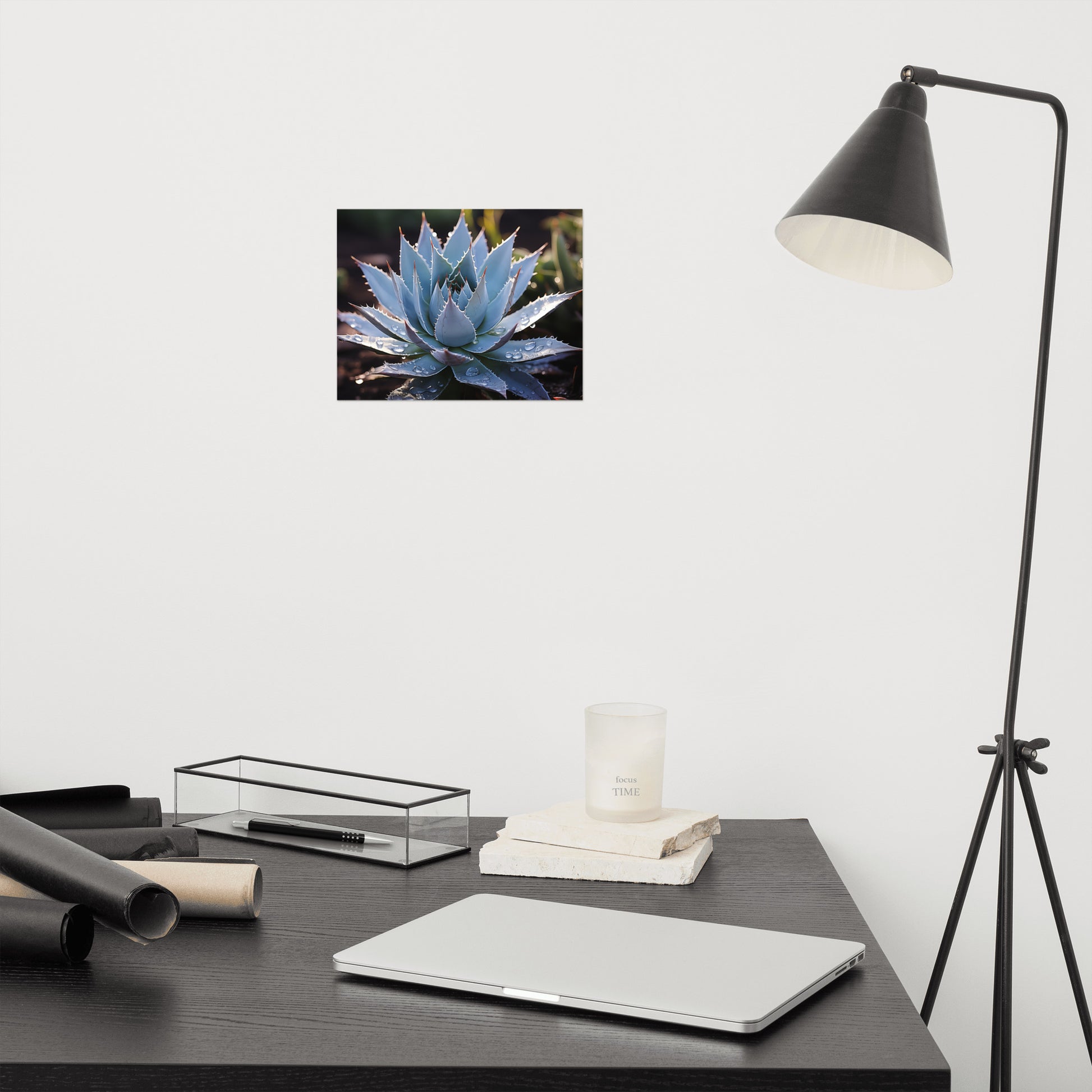 Cactus Wall Hanging: A Moment of Peace Botanical Rustic Photorealism - Digital Artwork Loose Art Print