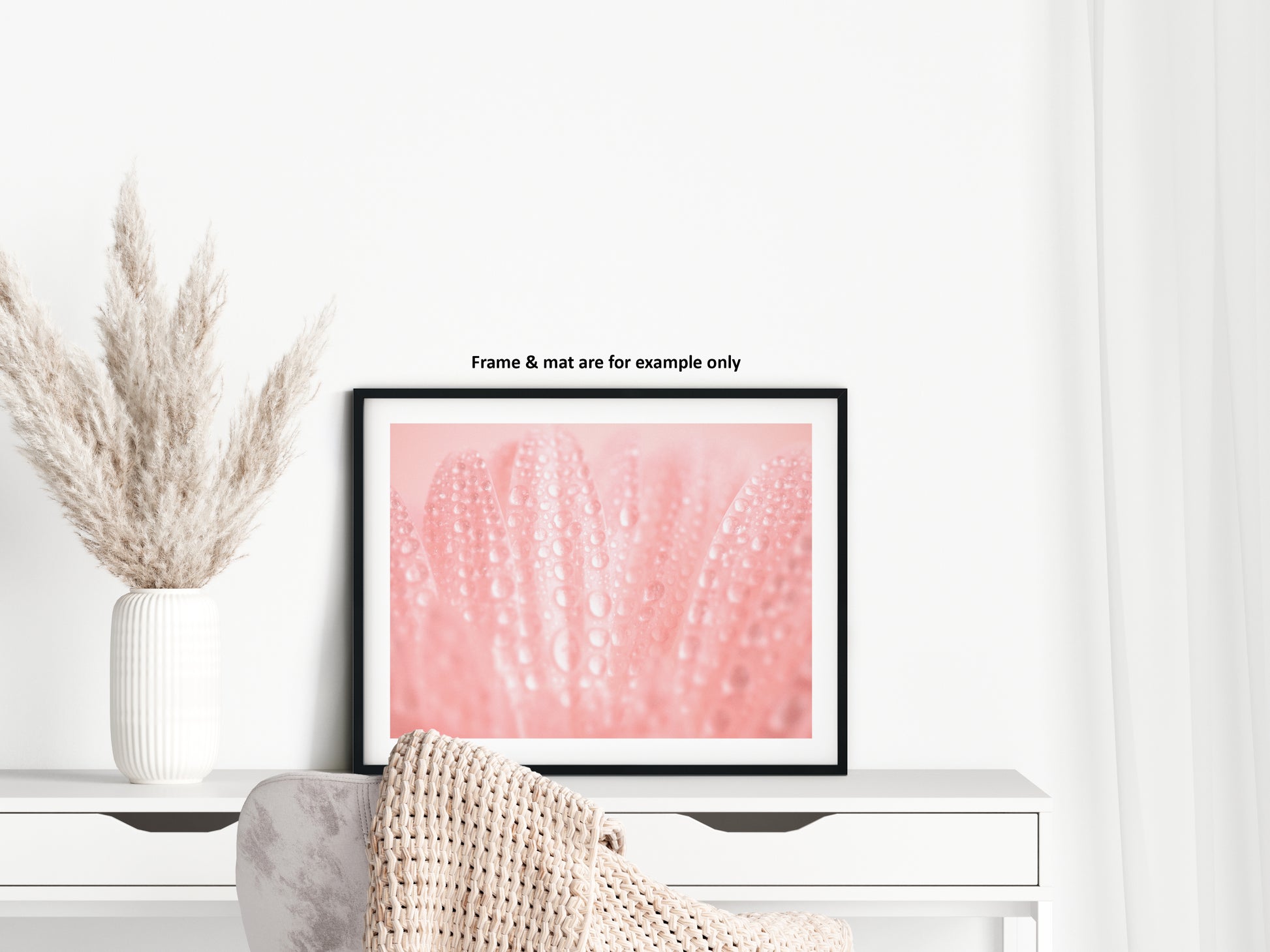 Art Prints For Hallway: Serenity Close-up Pink Daisy Floral Botanical Photograph Shabby Chic - Vintage Loose / Unframed Wall Art print