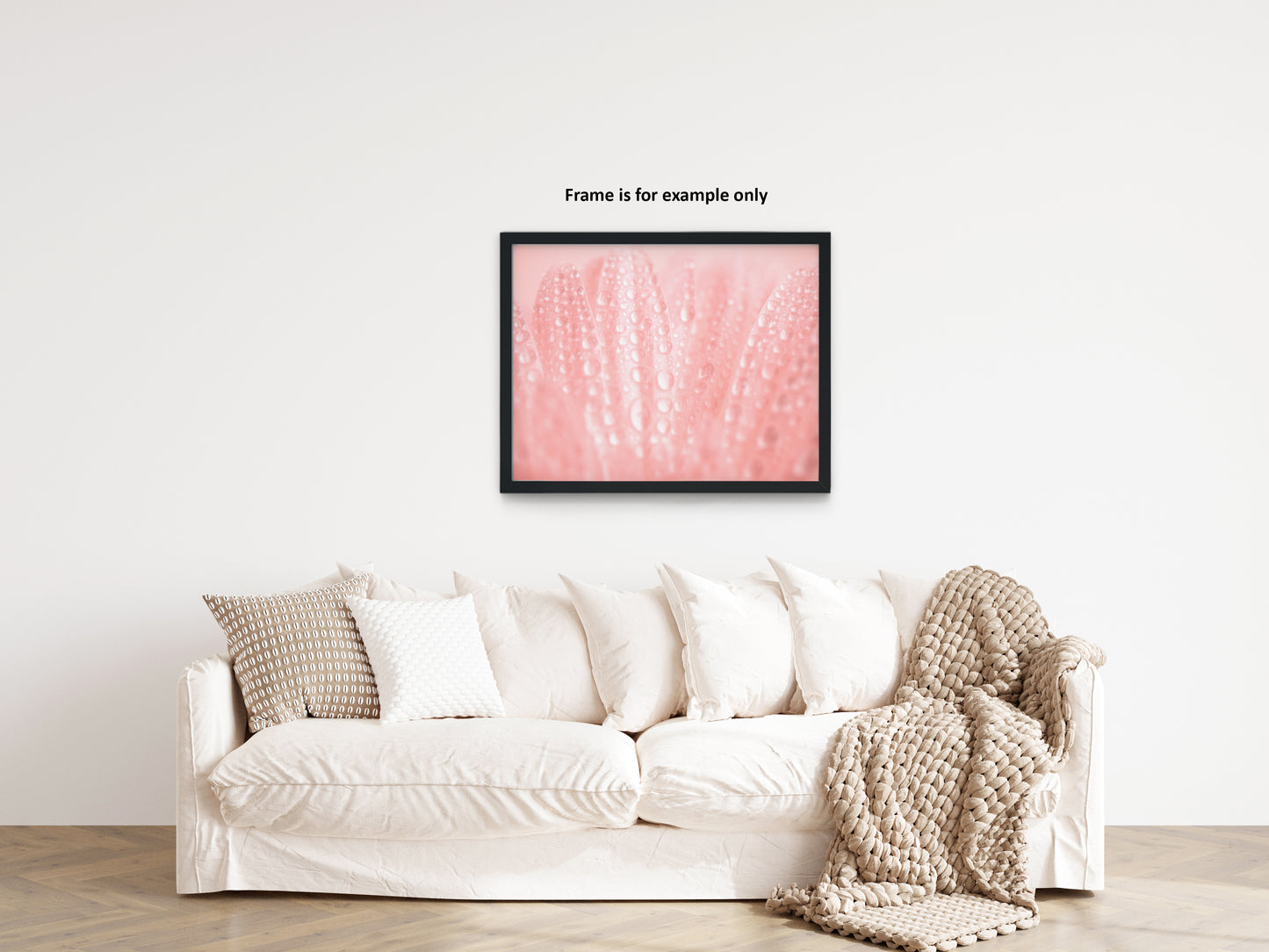 Living Room Amazon Wall Decor: Serenity Close-up Pink Daisy Floral Botanical Photograph Shabby Chic - Vintage Loose / Unframed Wall Art print