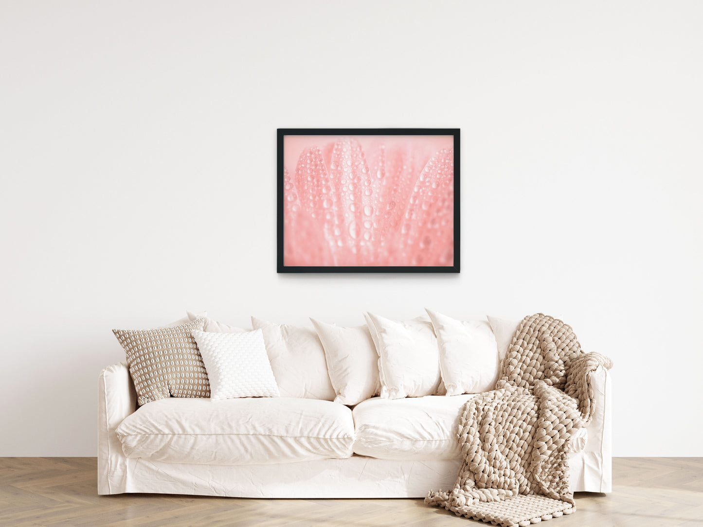 Plant Prints Framed: Close-Up Pink Daisy Floral Botanical Photograph Shabby Chic - Vintage Framed Wall Art Print