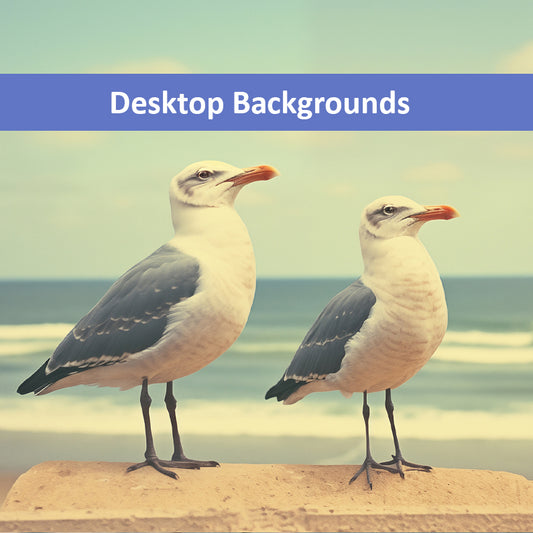 Coastal Companions Seagulls Vintage Retro Subdued Seagulls Photorealistic Digital Artwork Wallpaper for Computer