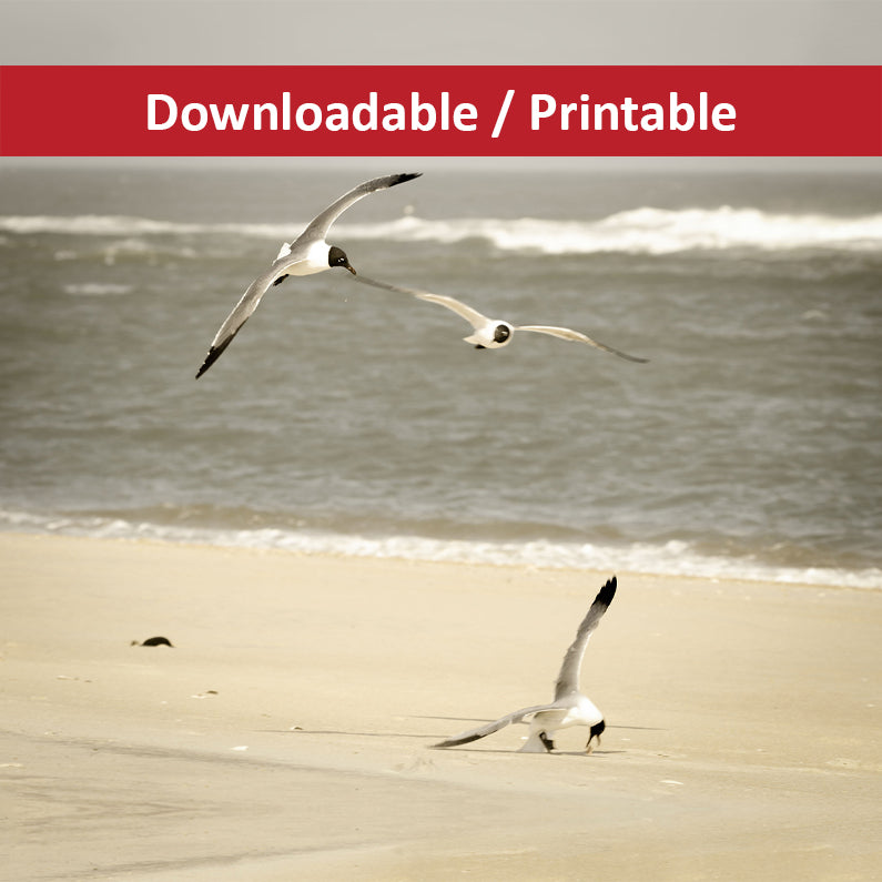 DIY Downloadable and Printable Wall Art Prints Life at the Shore Coastal Landscape Photograph
