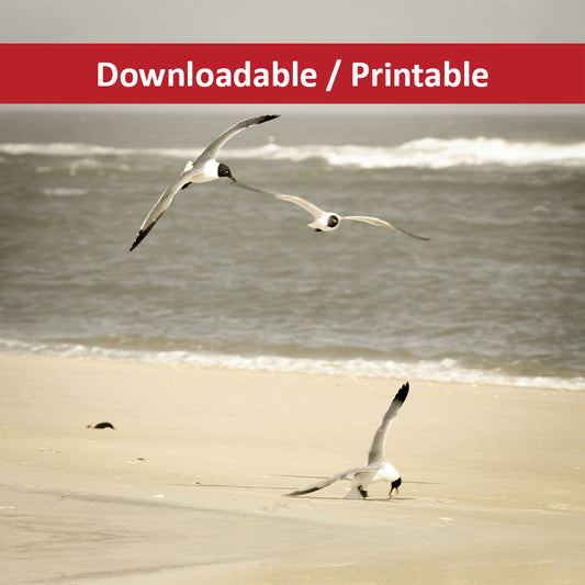 DIY Downloadable and Printable Wall Art Prints Life at the Shore Coastal Landscape Photograph